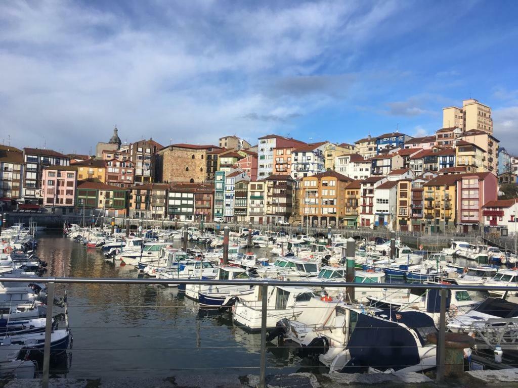 Apartamentos Urdaibai 1 Bermeo Bagian luar foto